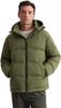 Winter Jacket Marc O'Polo Down Jacket Regular Dried Grass