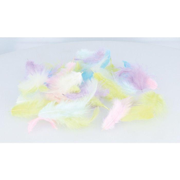 PLUMES COLORÉES - 10 GR - RAINBOW