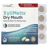 Xylimelts® Dry Mouth, Cinnamon Flavor, 40 Melts