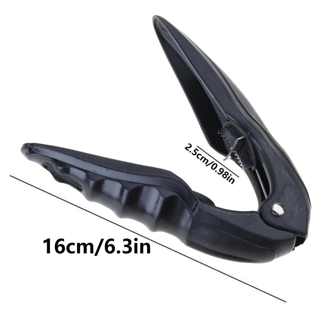 Portable Chestnut Cracker Tool Chestnut Peeler Nut Cutter Chestnut Opener Kitchen Tool for Walnuts Chestnuts Nuts