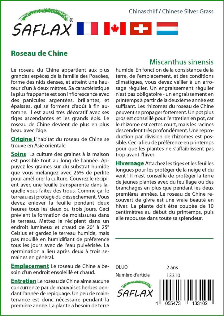 SAFLAX Китайская серебристая трава - 200 семян - Miscanthus sinensis