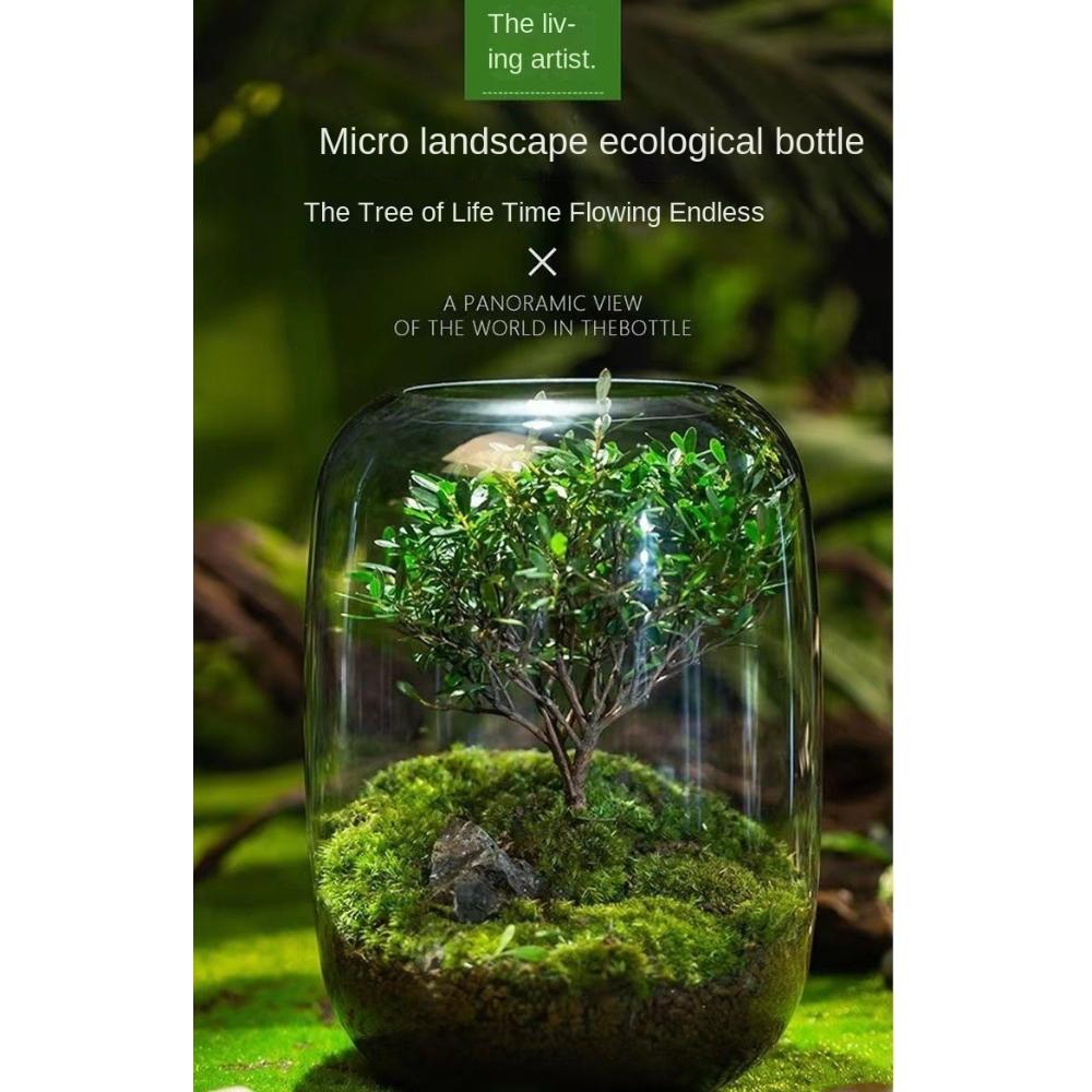 Террариумный контейнер, стеклянная ваза для микроландшафта, цветочные горшки, ваза для гидропонных растений, цветочная бутылка