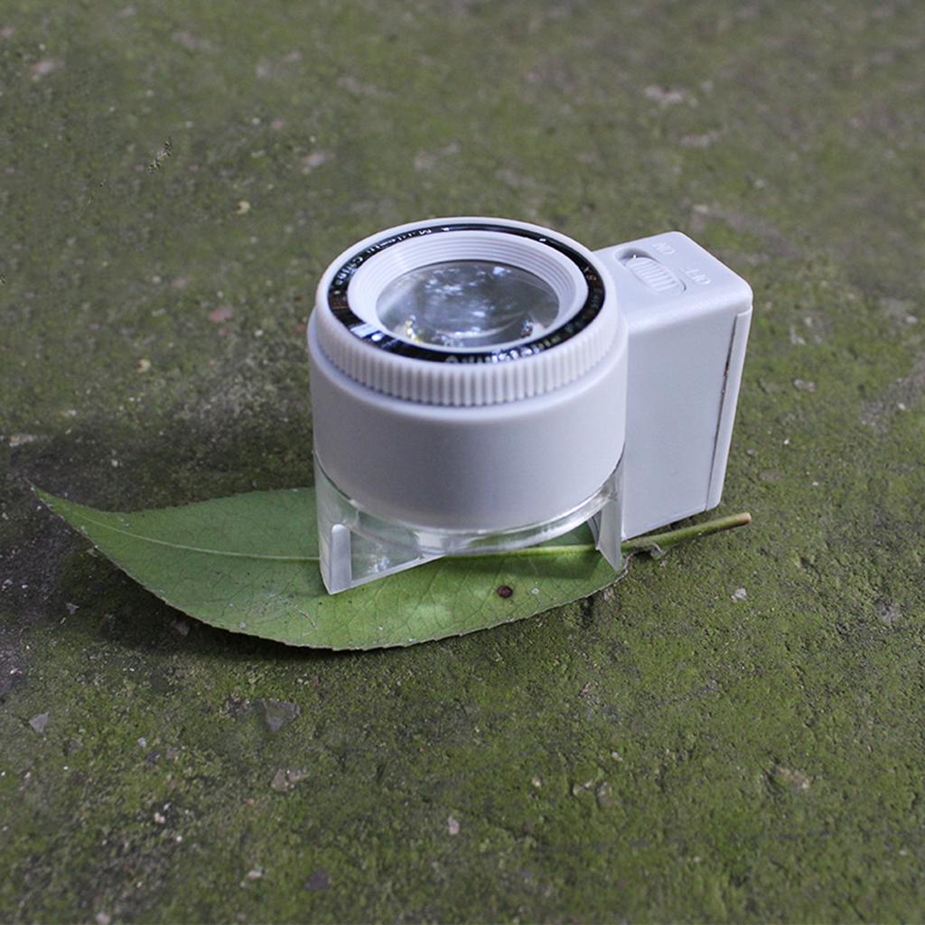 Upgrade Magnifying Glass with Light LED Illuminated Lighted Magnifier with Scale for Seniors Reading Inspection Coins