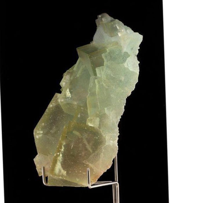 Pierres et Minéraux. Fluorite + Quartz. 999.65 ct. L'Avellan Mine, Fréjus, Var, France.