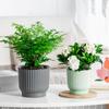 Plastic Water-absorbing Flower Pot Visible Water Level Water Planting Pots Hydroponic Planter