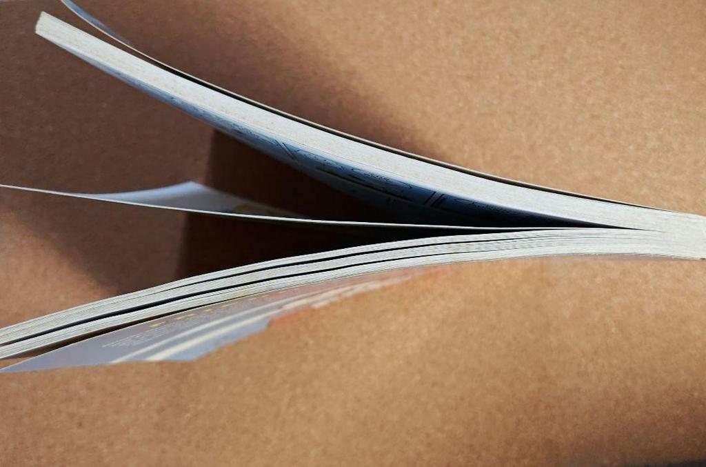 [USED] SNOOPY, IT'S A DOG'S LIFE, SNOOPY