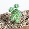 Mini Succulents Artificial Plant Fake Diy Home Office Desk Garden Decor Floral