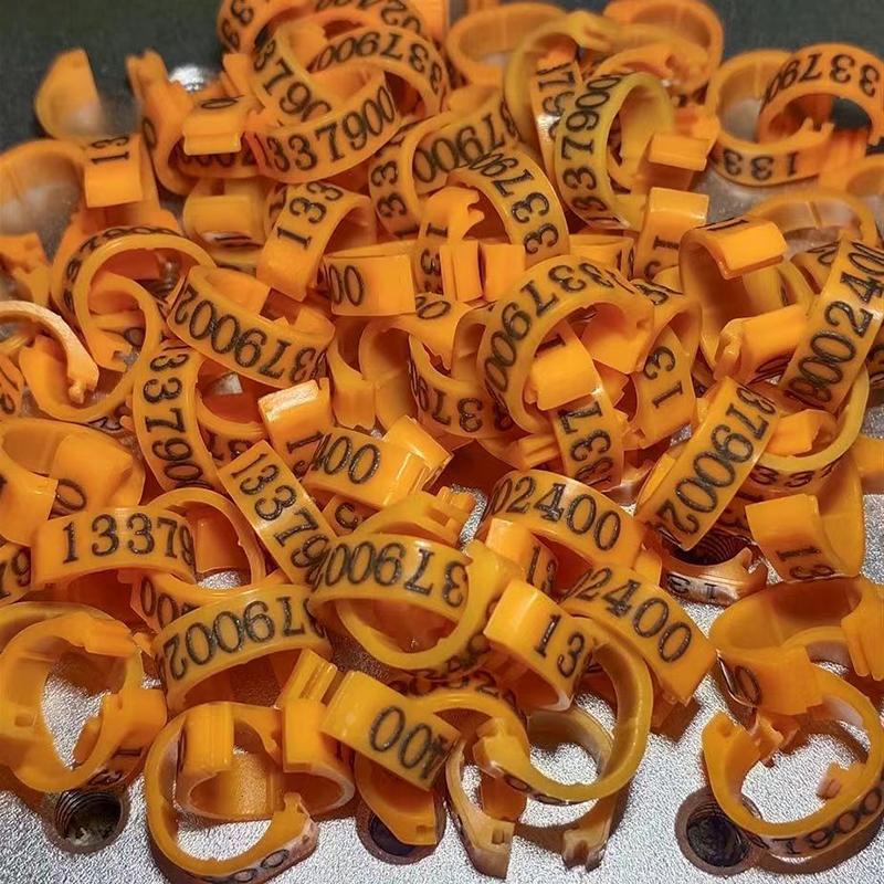 Personalized Pigeon Foot Ring Inner Diameter 8mm Print ''Name/Phone Number" Bird doves Foot Ring 100 Pcs