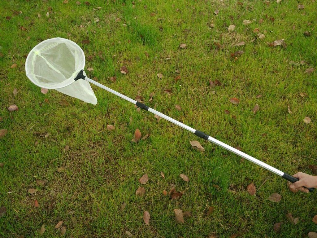 Telescopic Aluminum Alloy Insect & Butterfly Net for Daphnia, Bloodworms, and Mosquitoes.