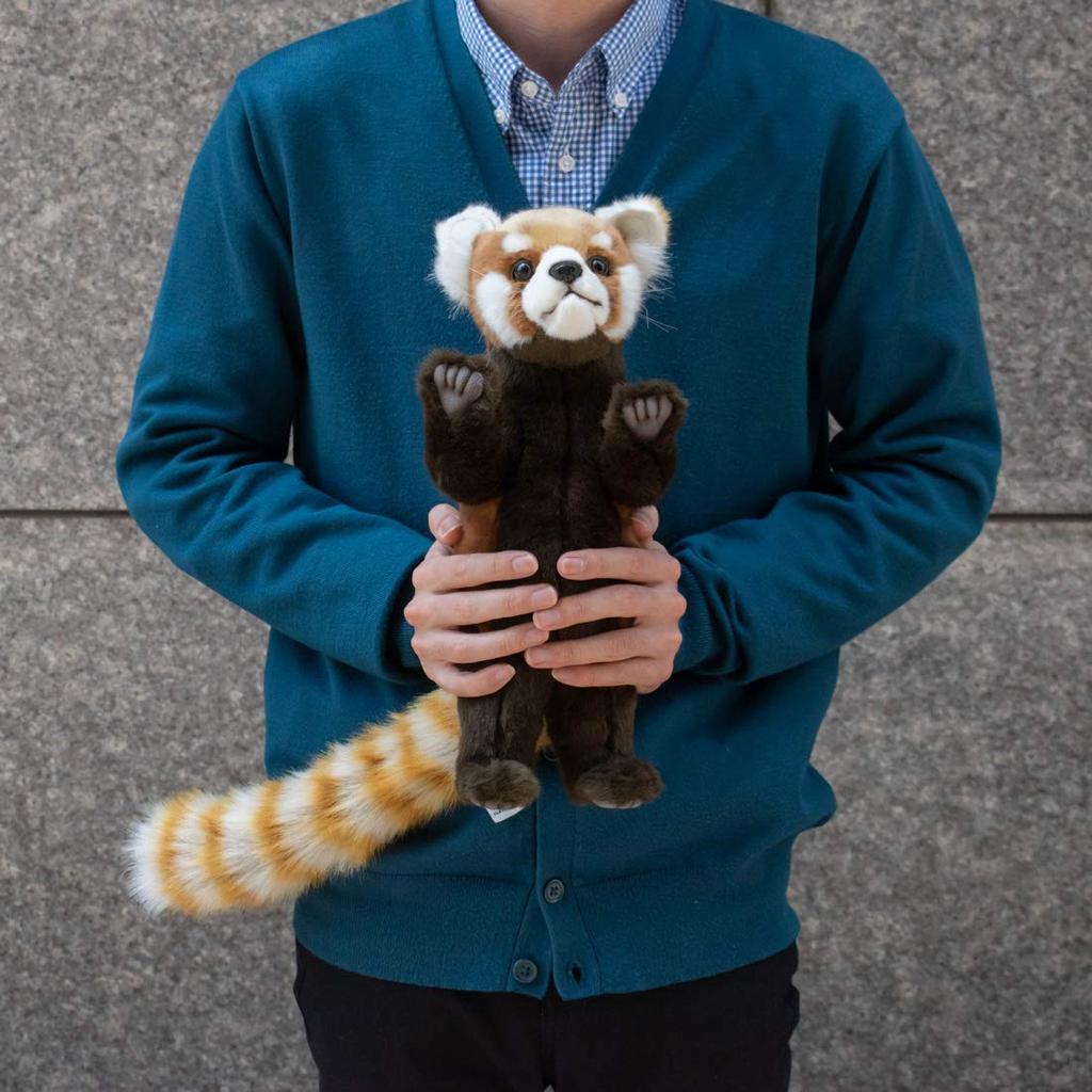 BH7252 HANSA Red Panda 37