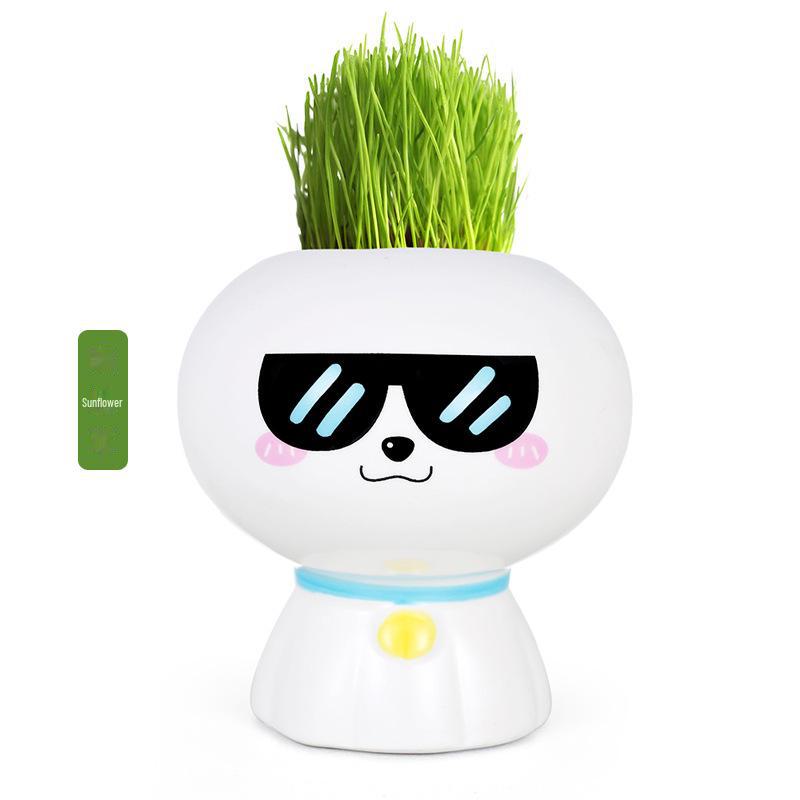 Creative Potted Plant Gifts for Kindergarten Birthdays and School Prizes