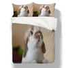 3D Rabbit Pattern Home Bedding Set 3D Animal Quilt Cover Pillow Case 2/3 Piece Zipper Super Soft Home Decoration Gift