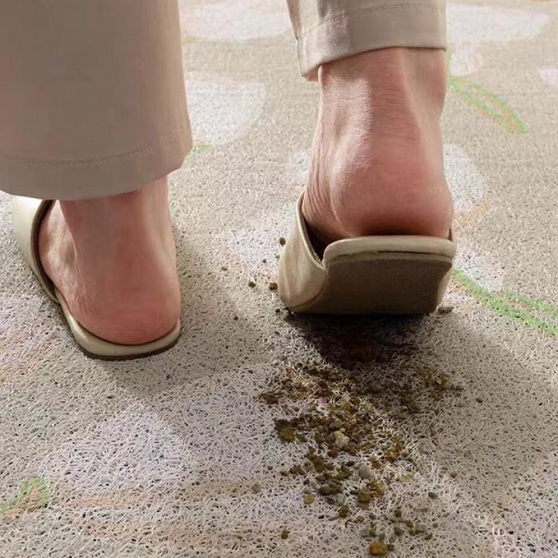 Ins Style Door Mat Entrance Shoe Durable Non-Slip Dirt-resistant Entryway Rug