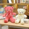 Colorful Ribbon Teddy Bear Plush Toy with Ten Color Options