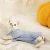 Blue Anti-Hair Loss Autumn/Winter Cat Outfit for Ragdoll and Kitten Belly Protection