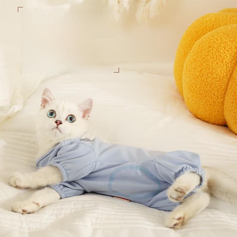Синий противовыпадающий костюм для кошек породы рэгдолл и защита живота котенка на осень/зиму