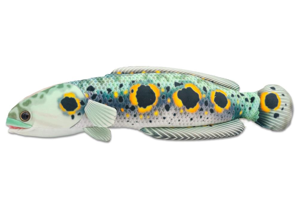 Takeoff Snakehead Realistic Cute Fish Series