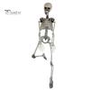 90cm Simulation Human Skeleton Ornament Halloween Party Bar Haunted House Props