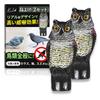 Bird Repellent Set of Realistic Owl Deter Crows and Pest Control Owl Realistic Bird Ornament for Garden Decor K.Lab 2, Design, Pigeons, Item, Object,