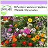 Fragrant Mix - 1000 Seeds - 18 Wildflower Mix
