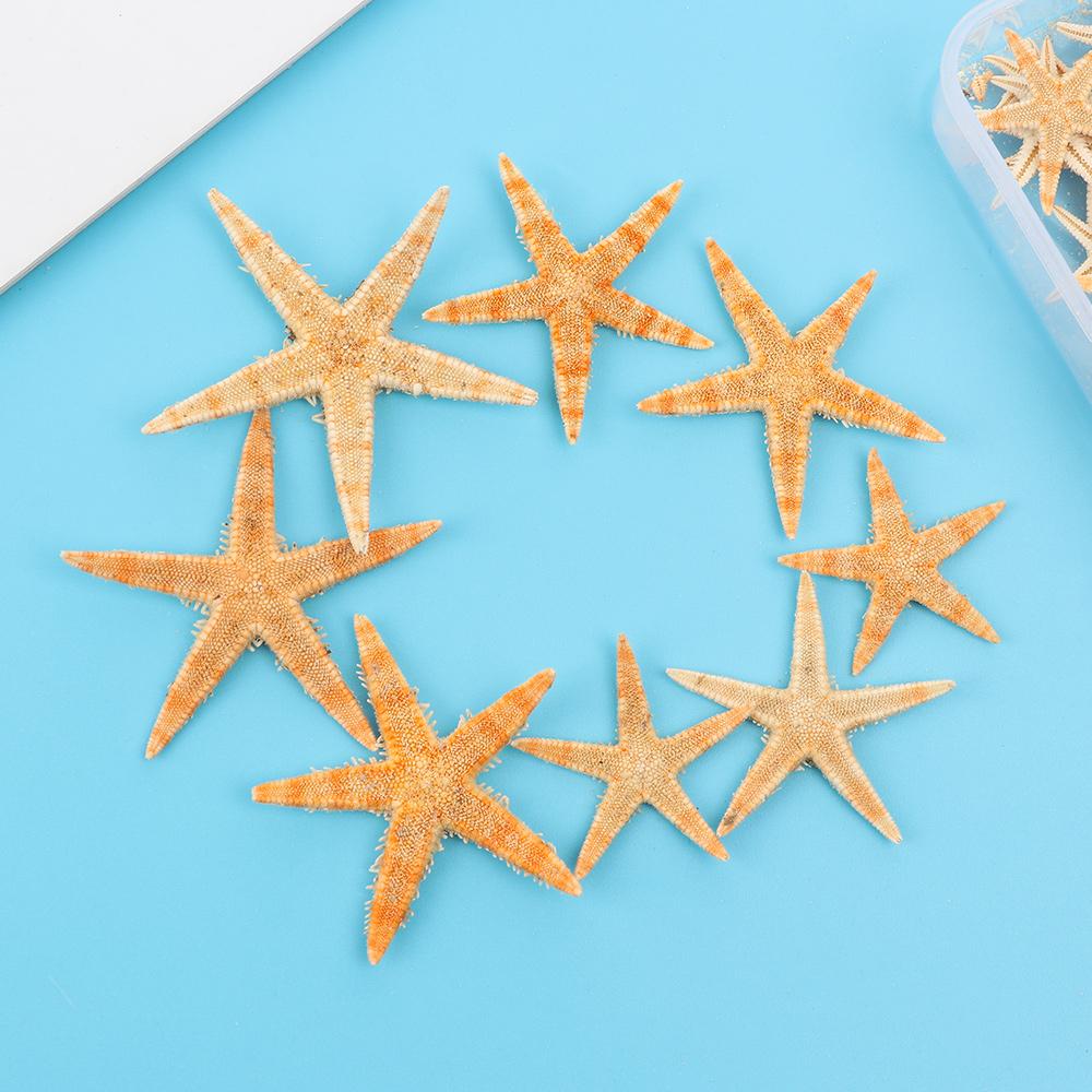 Вечерние свадебные украшения, смешанные морские звезды-натуральные аксессуары ручной работы, океанский декор, ракушки, морские звезды