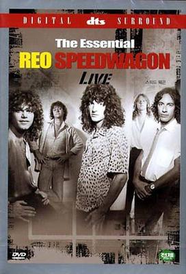 DVD DVD Styx и Reo Speedwagon Arch Allie DL014 БЕЗ НАКЛЕЙКИ 2005 Южная Корея Рок Б/у