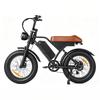 EB5Max Electric Fat Tire Bike with 7-Speed Gears 48V 18.2AH Battery 85-Miles Range 250W speed 25KM/H Electric Bicycle