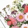 1 Set Dried Pressed Flowers Kit Colorful Natural Flowers DIY Art Crafts Supplies Resin Jewelry Epoxy Mold Candle Soap Vase Making Nail Card