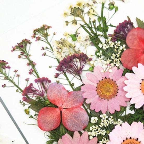 1 Set Dried Pressed Flowers Kit Colorful Natural Flowers DIY Art Crafts Supplies Resin Jewelry Epoxy Mold Candle Soap Vase Making Nail Card