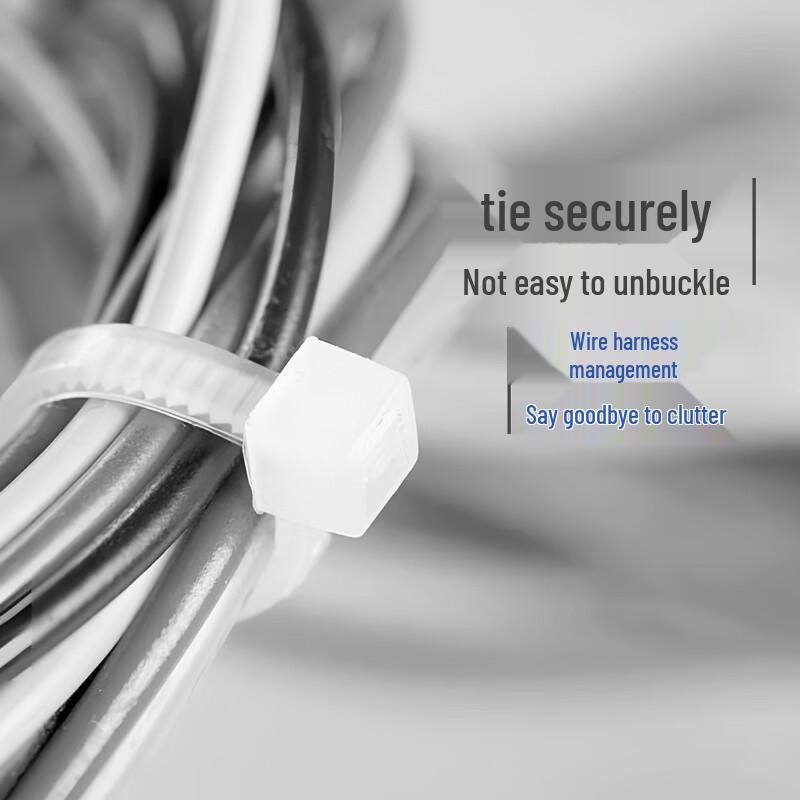 Self-locking Nylon Cable Ties