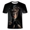 3D Fashion Funny Monkey Graphic T Shirts Summer Casual Animal Pattern Men's T-shirt New Hip Hop Print Short Sleeve T-shirts Tops