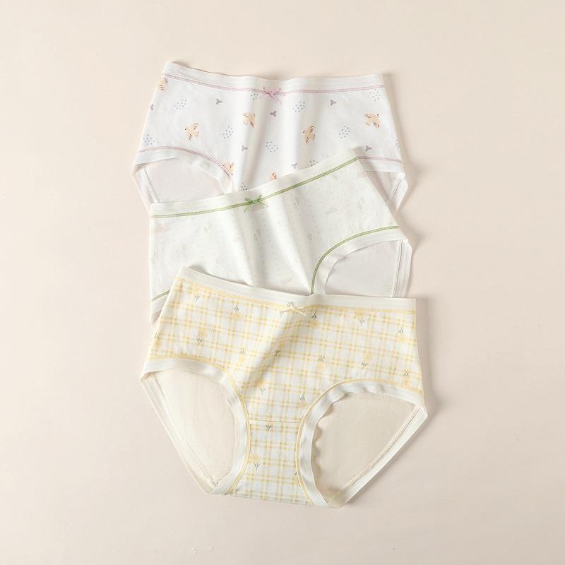 Fenteng [Skincare Cloud Cotton] 3-Pack Women's Underwear