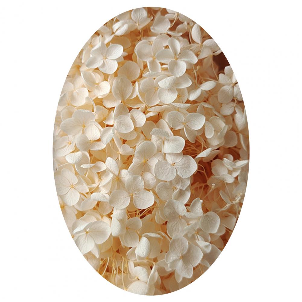 1 коробка цветных сухоцветов натуральные реалистичные головки гортензии своими руками натуральные свежие стабилизированные цветы гортензия свадебные сувениры