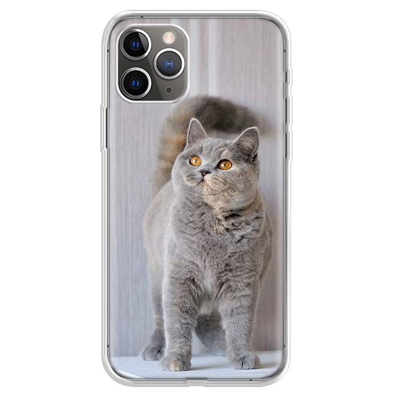 British Shorthair Cat Phone Case For iPhone 17 Air 11 13 Mini 14 15 Plus 16 12 Pro Max 16E SE 7 8 Pattern Soft TPU Back Cover 1