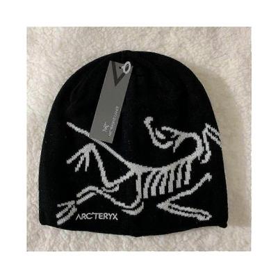 Мужская шапка Повседневная Теплая Зимняя Лыжная Шапка -HK908