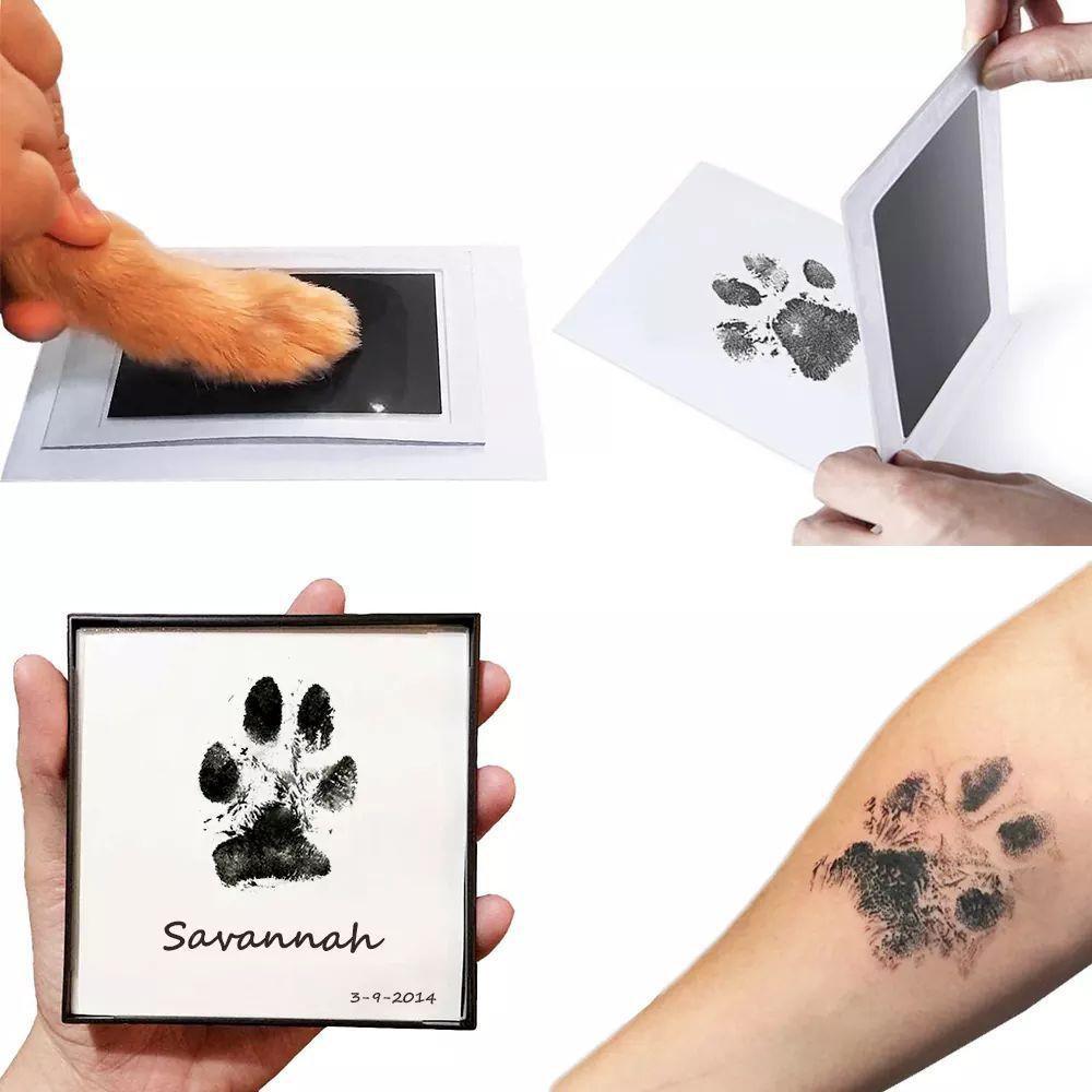 DIY No-Wash Pet Paw Print Album & Postcard Set