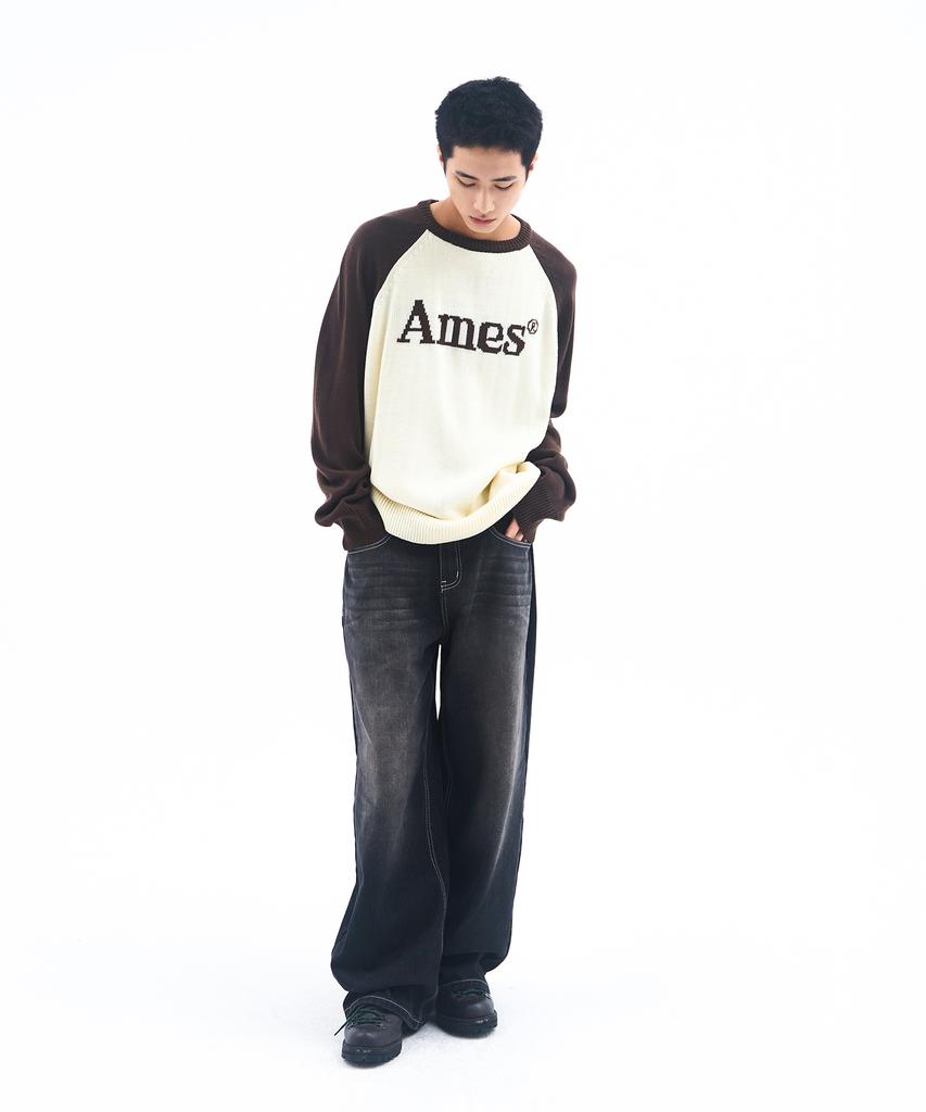 AMES-WORLDWIDE Basic Raglan Pullover Knit Brown