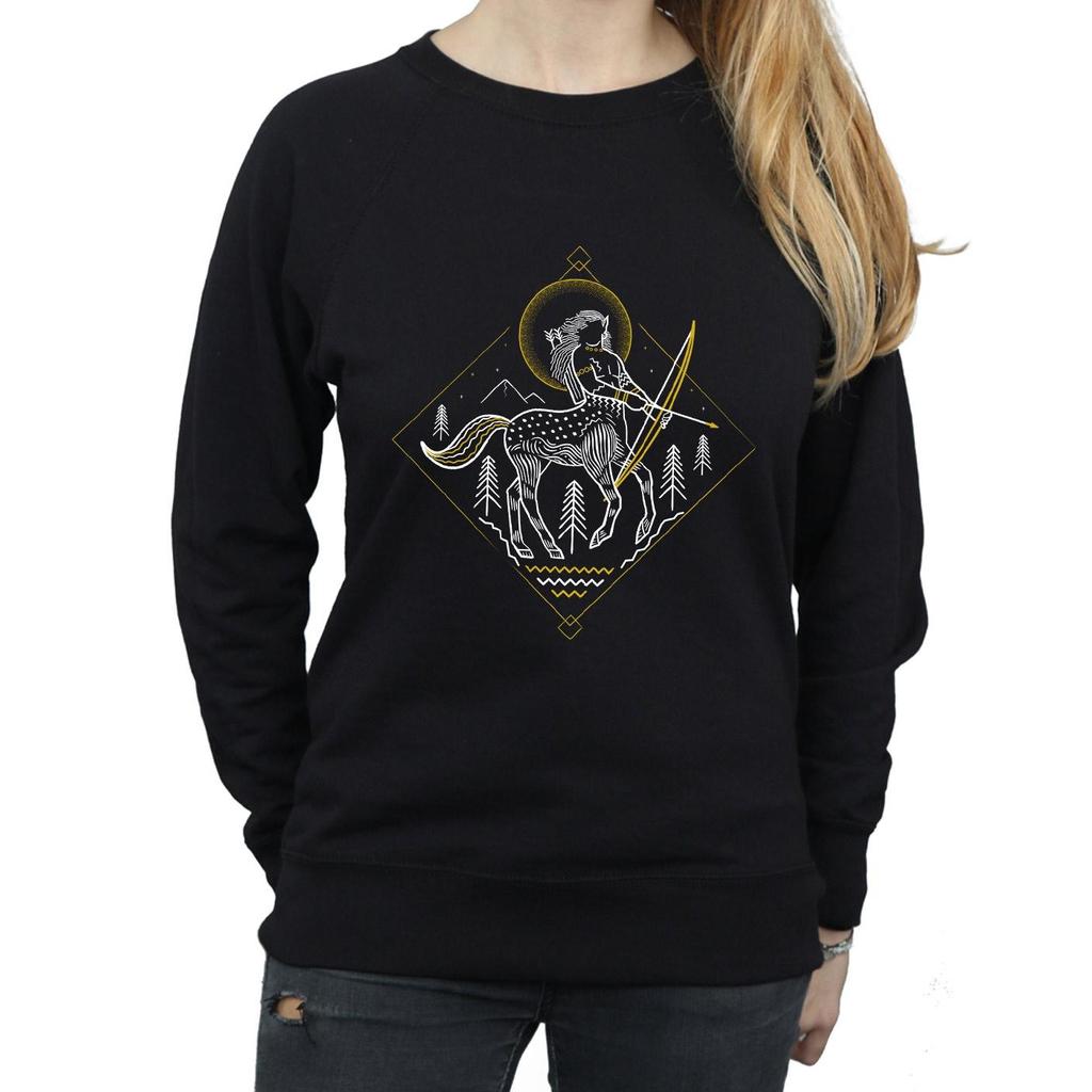 Harry Potter Womens/Ladies Centaur Line Art Sweatshirt