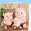 Adorable Plush Pig Toy Cute Stuffed Animal Pillow Soft And Cuddly Gift For Girls