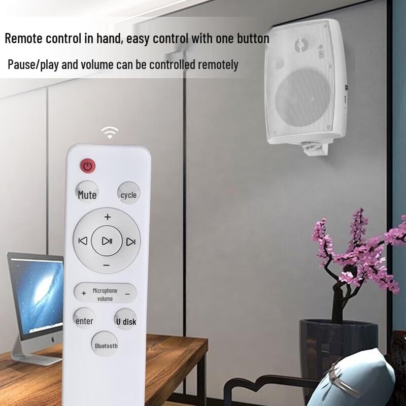 Lingsheng MP3-620 Wall-Mounted Active Speaker (CN version)
