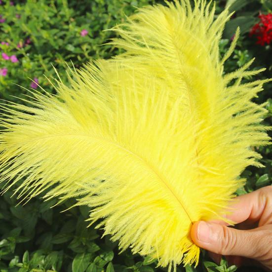 10 палочек, комплект украшений из перьев, центральные детали, поделки, ловцы снов, яркие цвета, искусство из перьев, проекты DIY, вечеринки