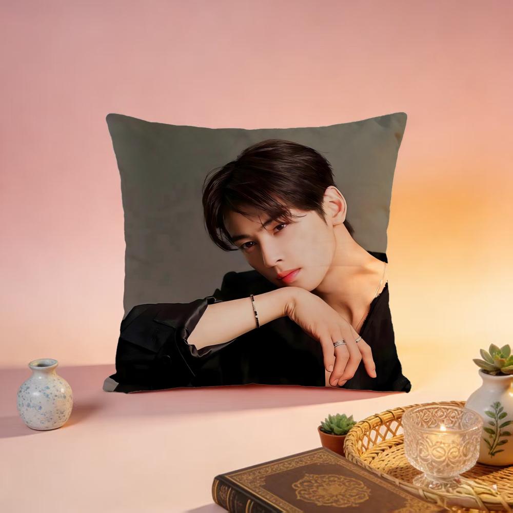 Hot CCha Eun Wooable Cushion Cover Premium SkinFriendly Pillow Case MultiPurpose for Home Office Travel