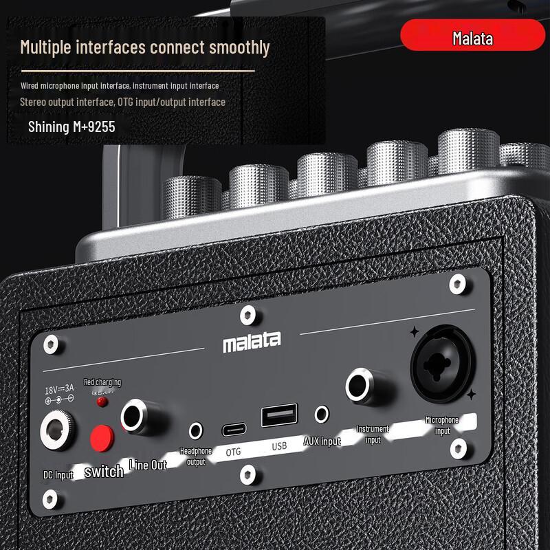 Malata M+9255 Outdoor Portable KTV Bluetooth Speaker (CN version)