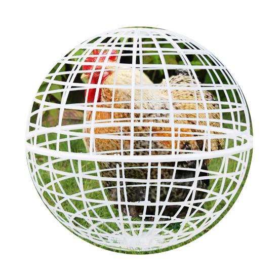 Rolling Chicken Ball Cage Detachable Chicken Ball Plastic Mesh Enclosure Chickens Orb Cage to Free Range for Hamsters Parrots Chicks