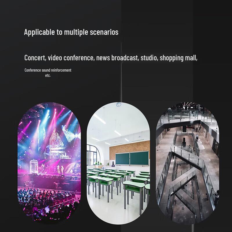 FionTu Professional Conference Monitor Speaker (CN version)
