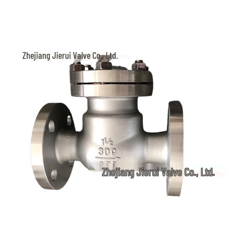 Beiyou H44W Stainless Steel Swing Flanged Check Valve CN plug (adapter included)