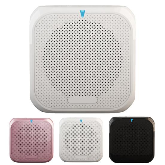 Портативный беспроводной усилитель голоса для учителей, совещаний, экскурсоводов, перезаряжаемая PA-система, динамик, персональный усилитель, мегафон с клипсой для крепления сзади