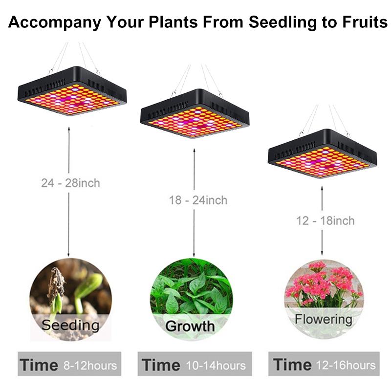 2000 Вт Лампы для выращивания Светодиодная лампа для выращивания Полный спектр для теплицы В помещении Гидропоника Рассада растений Цветок Высокий урожай