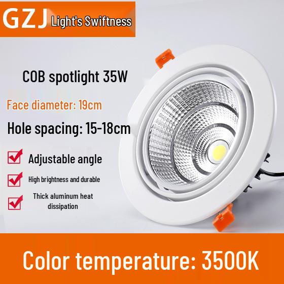 Recessed 20W Spotlight Downlight for Clothing Stores, 15-30W Commercial Ceiling Light