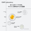 CNP Laboratory Propolis Active Ampoule Propolis Moisturizing Care for Sensitive Problem Skin Korean Official Skincare 35ml, Skin, Care, Serum,